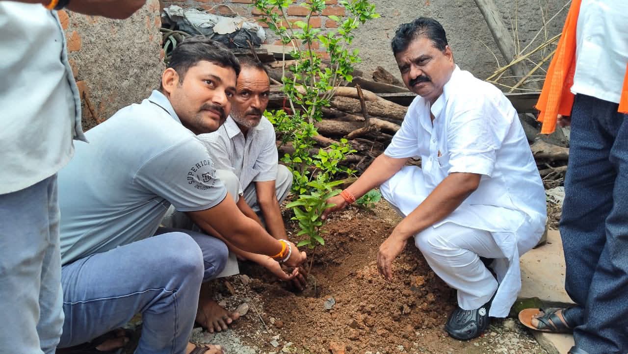 तालबेहट मण्डल के हर्षपुर सेक्टर में बूथ संख्या 172 में जिला अध्यक्ष ने एवं अन्य बूथों पर अनेक कार्यकर्ताओं ने सुनी मन की बात और लगाया एक वृक्ष मां के नाम