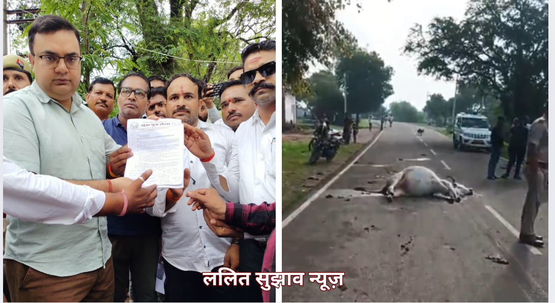 तेज रफ्तार डंपर ने रौंदे आधा दर्जन से अधिक गौवंश, गौसेवकों में आक्रोश, बजरंग सेना ने की कड़ी कार्रवाई की मांग